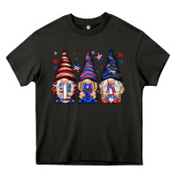 Asphalt USA gnomies 4th of july Heavy Core Tee - HowdyJamesFarm