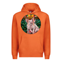 Carrot christmas pig Premium Hoodie - LillyAllenDesigns