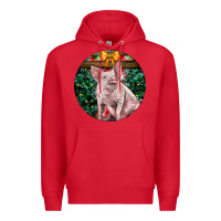 Red christmas pig Premium Hoodie - LillyAllenDesigns