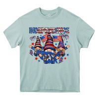 Arona Independence Day with gnomies Heavy Core Tee - HowdyJamesFarm