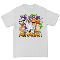 Dove Grey pet all the pumpkins Premium Tee - CowGirlArtShop