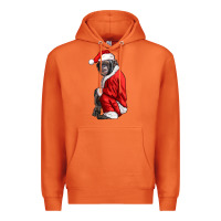 Carrot Chimpanzee With Santa Clothes Premium Hoodie - LillyAllenDesigns