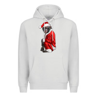 Dove Grey Chimpanzee With Santa Clothes Premium Hoodie - LillyAllenDesigns