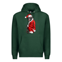 Sports Green Chimpanzee With Santa Clothes Premium Hoodie - LillyAllenDesigns