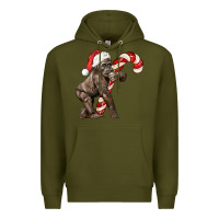 Army Green Christmas Candy Cane Baby Gorilla Premium Hoodie - LillyAllenDesigns