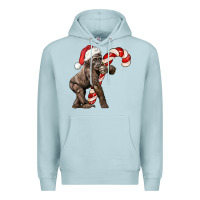 Blue Mist Christmas Candy Cane Baby Gorilla Premium Hoodie - LillyAllenDesigns