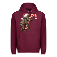 Burgundy Christmas Candy Cane Baby Gorilla Premium Hoodie - LillyAllenDesigns