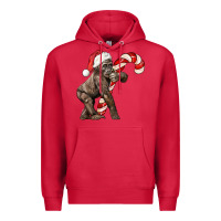 Cardinal Christmas Candy Cane Baby Gorilla Premium Hoodie - LillyAllenDesigns