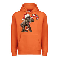Carrot Christmas Candy Cane Baby Gorilla Premium Hoodie - LillyAllenDesigns