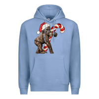Colony Blue Christmas Candy Cane Baby Gorilla Premium Hoodie - LillyAllenDesigns