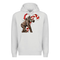 Dove Grey Christmas Candy Cane Baby Gorilla Premium Hoodie - LillyAllenDesigns