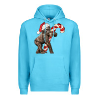 Ocean Blue Christmas Candy Cane Baby Gorilla Premium Hoodie - LillyAllenDesigns