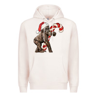 Pale Pink Christmas Candy Cane Baby Gorilla Premium Hoodie - LillyAllenDesigns
