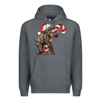 Rock Christmas Candy Cane Baby Gorilla Premium Hoodie - LillyAllenDesigns
