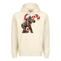 Sandshell Christmas Candy Cane Baby Gorilla Premium Hoodie - LillyAllenDesigns