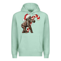 Seafoam Christmas Candy Cane Baby Gorilla Premium Hoodie - LillyAllenDesigns
