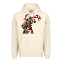 Tofu Christmas Candy Cane Baby Gorilla Premium Hoodie - LillyAllenDesigns