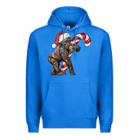 True Royal Christmas Candy Cane Baby Gorilla Premium Hoodie - LillyAllenDesigns