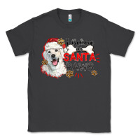 Smoke i believe in santa paws Classic Tee - CowGirlArtShop
