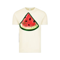 Vintage Arctic watermelon sliece Vintage Tee - Jasminsmagicworld