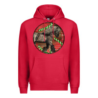 Cardinal Belgian Horse Christmas Premium Hoodie - LillyAllenDesigns