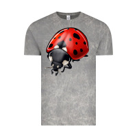 Cloud Rock ladybug Vintage Tee - Jasminsmagicworld