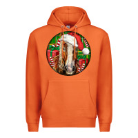 Carrot Belgian Horse  Christmas Premium Hoodie - LillyAllenDesigns