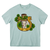 Arona st patricks day goat horseshoe shamrock Heavy Core Tee - RanaPortraitStore