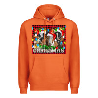 Carrot Merry Christmas  With Goats Premium Hoodie - LillyAllenDesigns