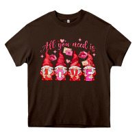 Chocolate Brown All you need is love gnomies Valentine's Day Heavy Core Tee - HowdyJamesFarm