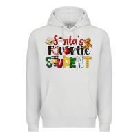 Dove Grey santa's favorite student christmas Premium Hoodie - LillyAllenDesigns