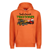 Carrot Santa's Favorite Truck Driver Premium Hoodie - LillyAllenDesigns