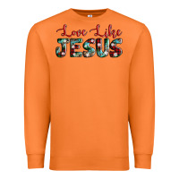 Carrot love like jesus Premium Sweatshirt - AdoDesignShop