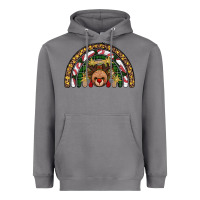Storm reindeer rainbow christmas Heavyweight Hoodie - AdoDesignShop