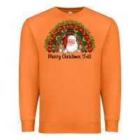 Carrot merry christmas y'all santa rainbow Premium Sweatshirt - AdoDesignShop
