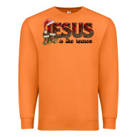 Carrot jesus in the reason Premium Sweatshirt - AdoDesignShop