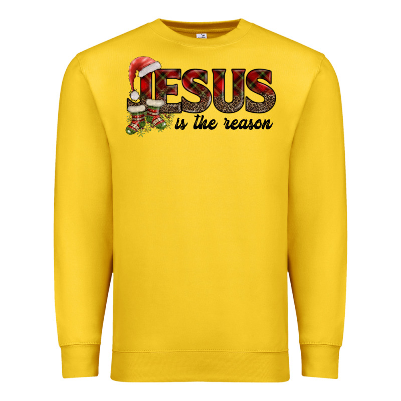 Jesus In The Reason Premium Sweatshirt by AdoDesignShop | Teevron