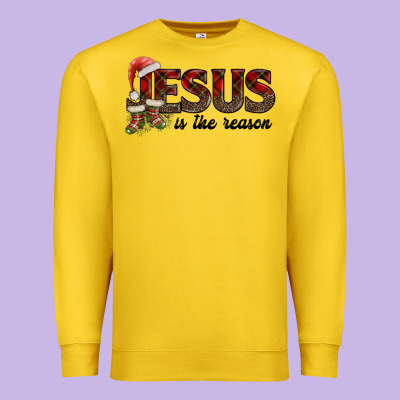 Jesus In The Reason Premium Sweatshirt Designed By Adodesignshop