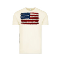 Vintage Arctic Distressed American Flag Vintage Tee - Jasminsmagicworld