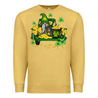 St Patricks Truck And Gnome Premium Sweatshirt | Teevron