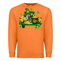Carrot st patricks truck and gnome Premium Sweatshirt - AdoDesignShop