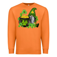 Carrot st patricks gnome and pot of gold Premium Sweatshirt - AdoDesignShop