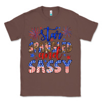 Chestnut star spangled and sassy Classic Tee - Artiststas