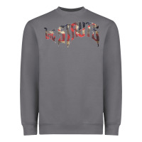 Storm The Struts, British Rock Glam Rock, the The Struts, The Struts art, Th Heavyweight Sweatshirt - DesignPulse