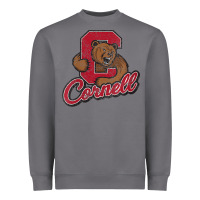 Storm cornell Heavyweight Sweatshirt - DesignPulse