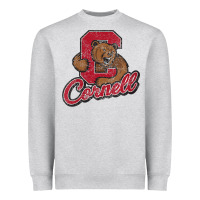 Heather Grey cornell Heavyweight Sweatshirt - DesignPulse