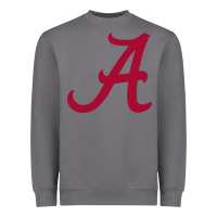Storm -alabama athletics Heavyweight Sweatshirt - DesignPulse