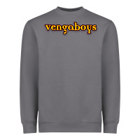 Storm vengaboys Heavyweight Sweatshirt - DesignPulse