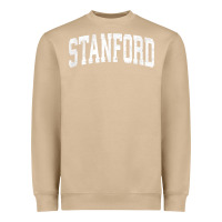 Mushroom stanford california ca vintage athletic sports design t shirt Heavyweight Sweatshirt - DesignPulse
