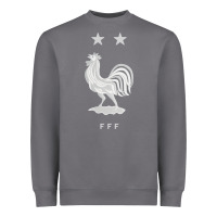 Storm FFF Two Stars Heavyweight Sweatshirt - DesignPulse